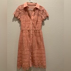 Darling Antonio Melani Pink Lace button down dress